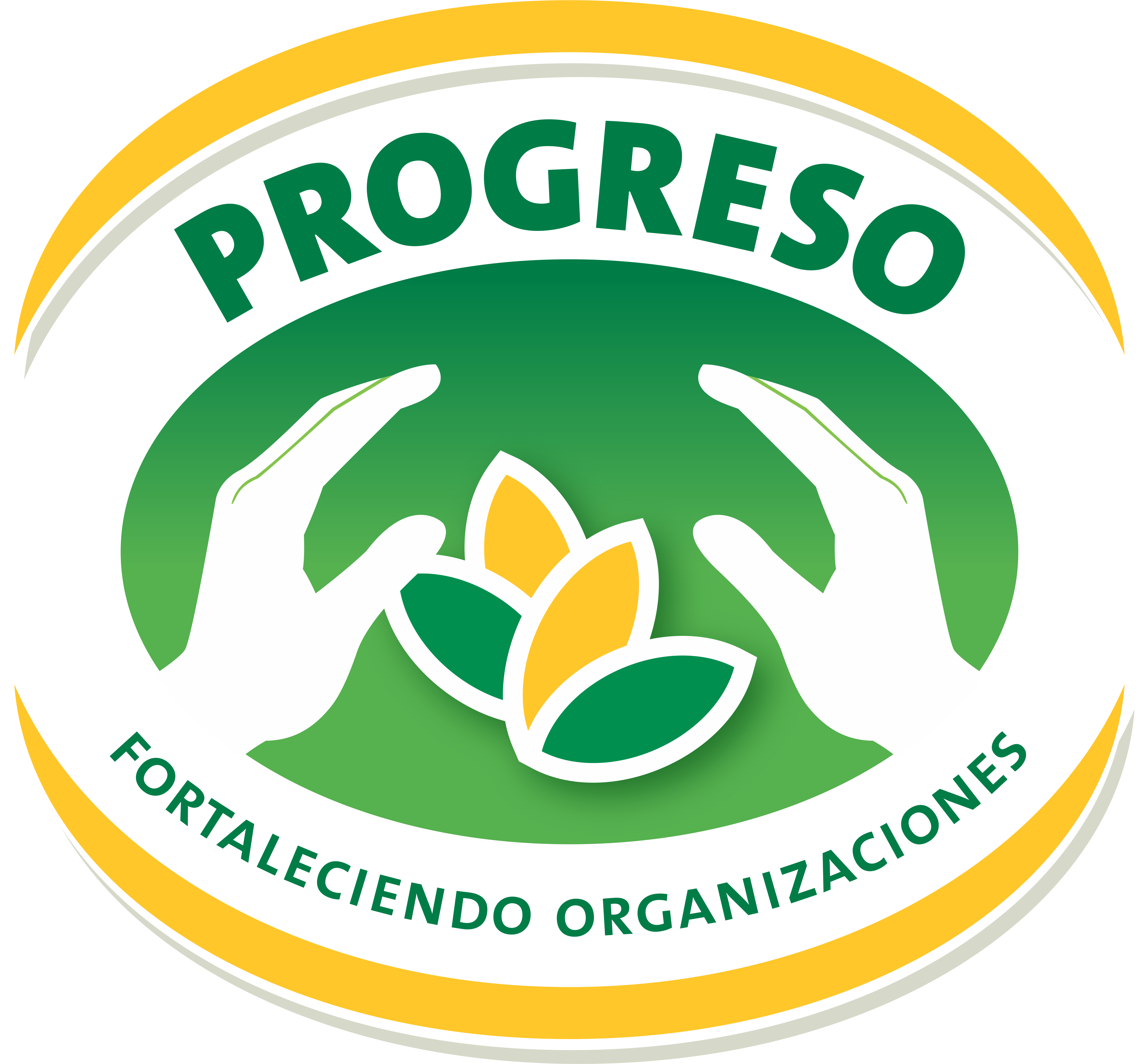 ONG PROGRESO