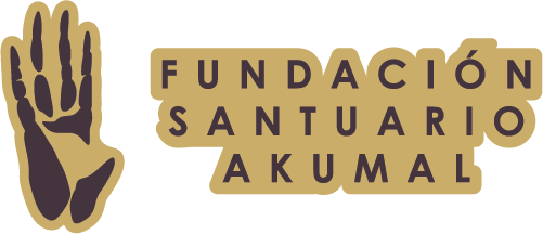 Fundacion Santuario Akumal