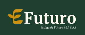 EFuturo