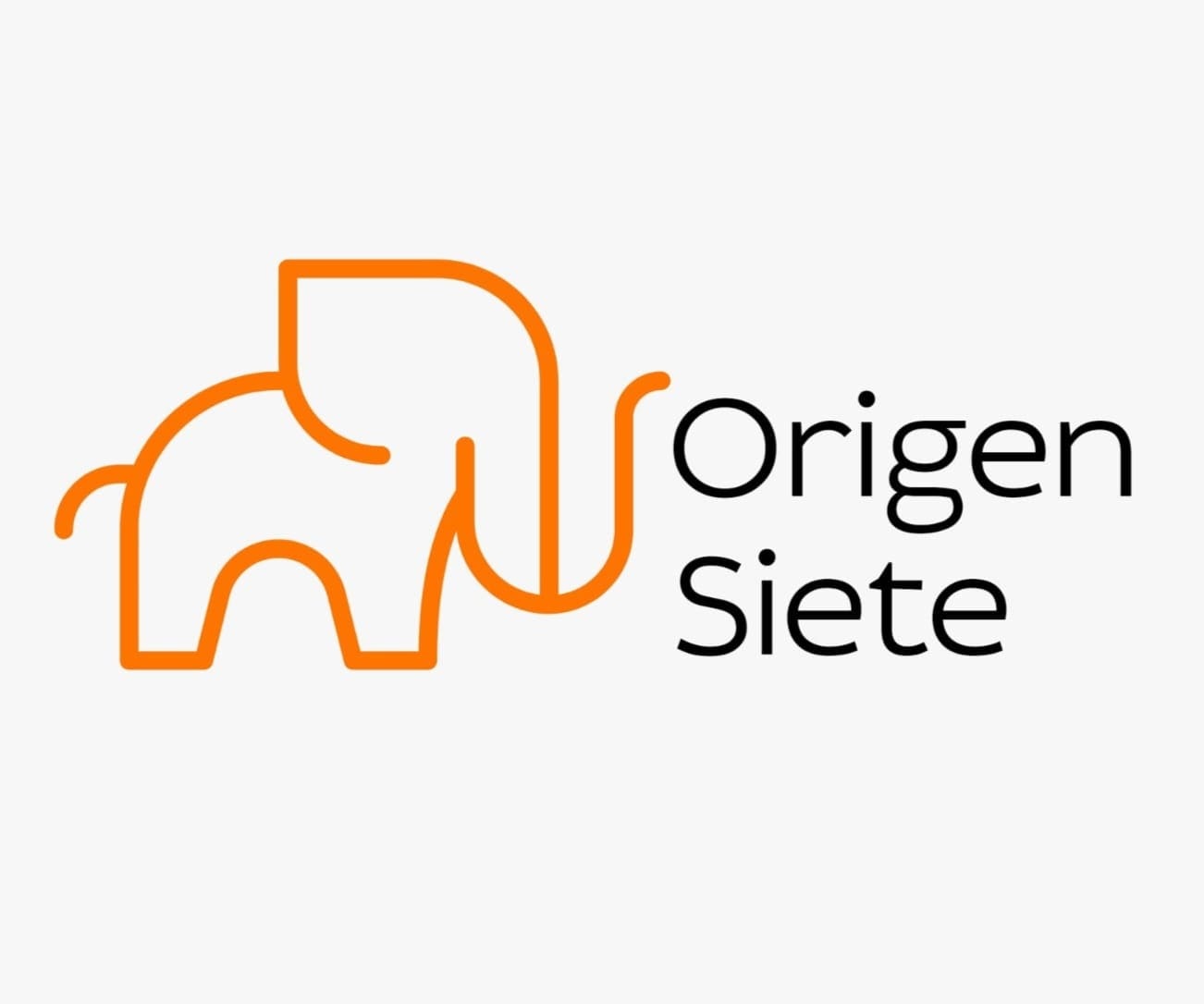 ONG Origen Siete
